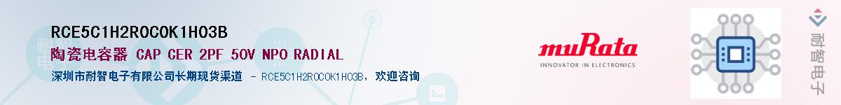 RCE5C1H2R0C0K1H03B������-�������