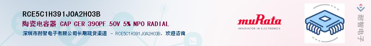 RCE5C1H391J0A2H03B������-�������