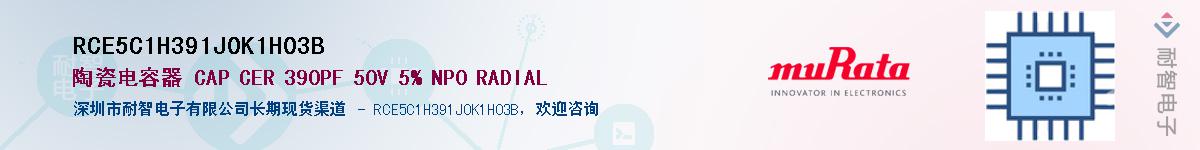 RCE5C1H391J0K1H03B������-�������