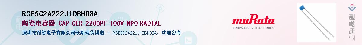 RCE5C2A222J1DBH03A������-�������