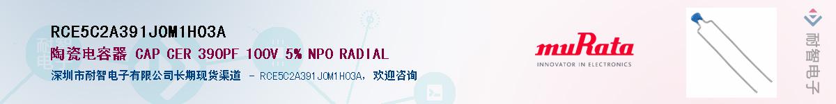 RCE5C2A391J0M1H03A������-�������