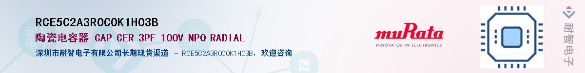 RCE5C2A3R0C0K1H03B������-�������