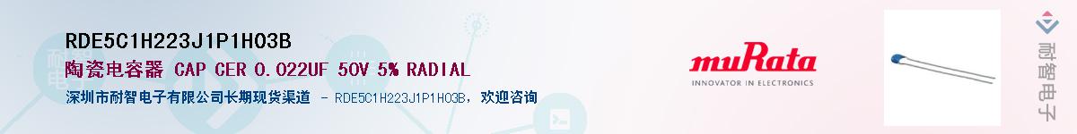 RDE5C1H223J1P1H03B������-�������