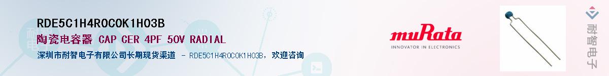 RDE5C1H4R0C0K1H03B����(y��ng)��-�������