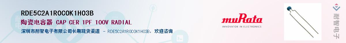 RDE5C2A1R0C0K1H03B����(y��ng)��-�������