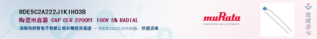 RDE5C2A222J1K1H03B������-�������