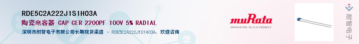 RDE5C2A222J1S1H03A����(y��ng)��-�������