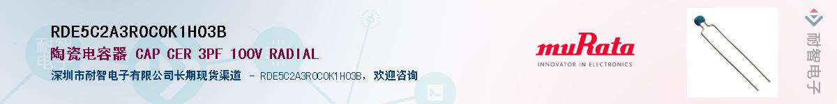 RDE5C2A3R0C0K1H03B����(y��ng)��-�������