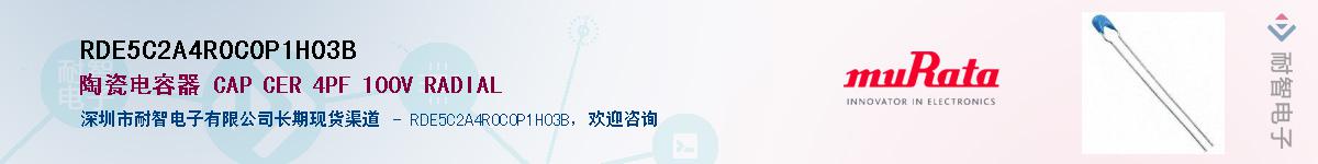 RDE5C2A4R0C0P1H03B������-�������