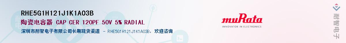 RHE5G1H121J1K1A03B������-�������