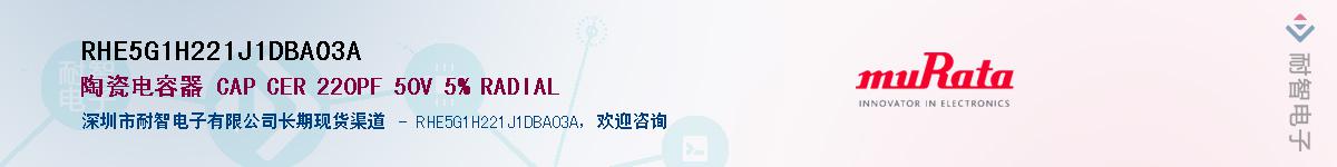 RHE5G1H221J1DBA03A������-�������