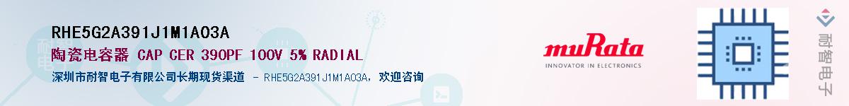 RHE5G2A391J1M1A03A������-�������