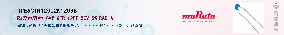 RPE5C1H120J2K1Z03B������-�������