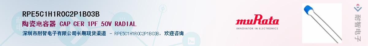 RPE5C1H1R0C2P1B03B����(y��ng)��-�������