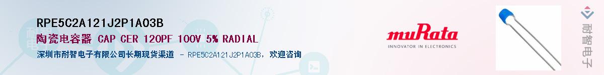 RPE5C2A121J2P1A03B����(y��ng)��-�������