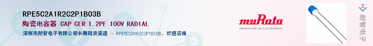 RPE5C2A1R2C2P1B03B������-�������