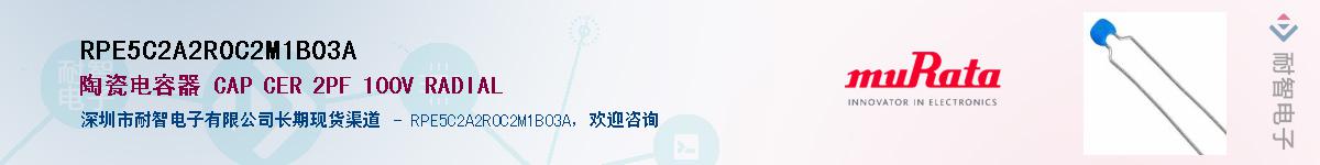 RPE5C2A2R0C2M1B03A������-�������