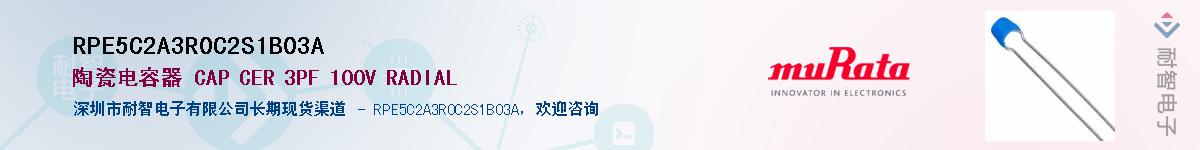 RPE5C2A3R0C2S1B03A������-�������