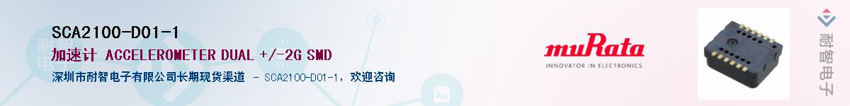 SCA2100-D01-1������-�������