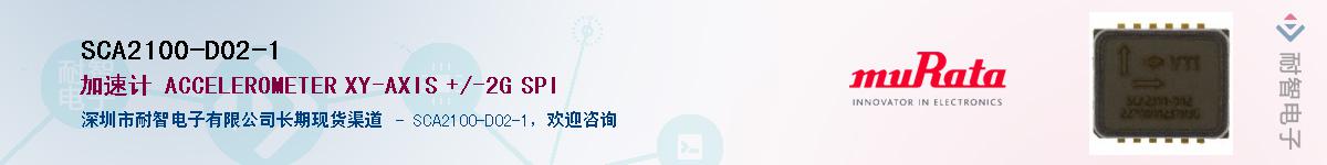 SCA2100-D02-1������-�������