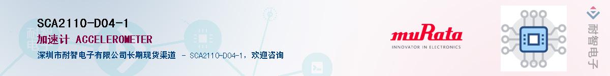 SCA2110-D04-1������-�������