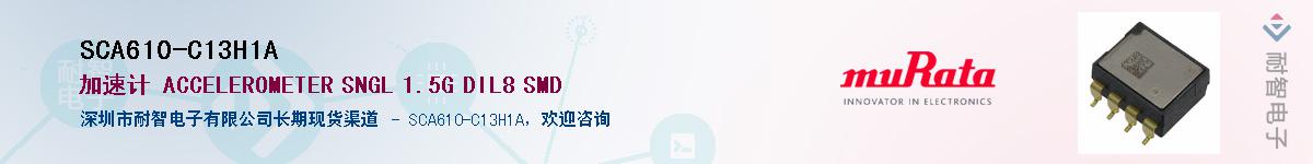 SCA610-C13H1A������-�������