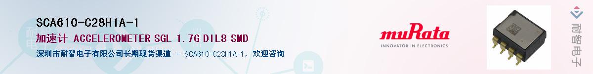 SCA610-C28H1A-1������-�������