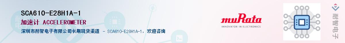 SCA610-E28H1A-1������-�������