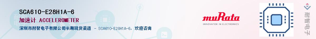 SCA610-E28H1A-6������-�������