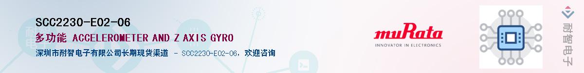 SCC2230-E02-06������-�������