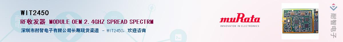 WIT2450������-�������