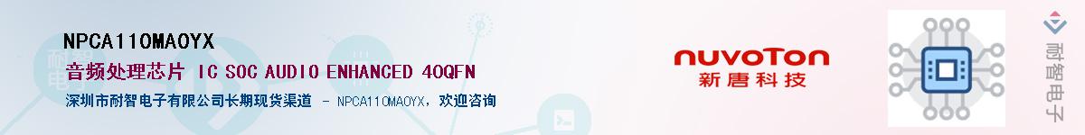 NPCA110MA0YX������-�������