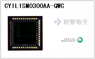 CYIL1SM0300AA-QWC