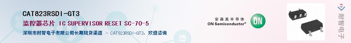 CAT823RSDI-GT3������-�������