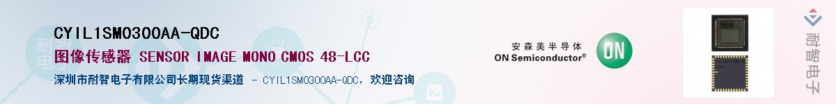 CYIL1SM0300AA-QDC������-�������