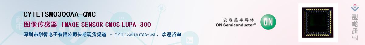 CYIL1SM0300AA-QWC����(y��ng)��-�������