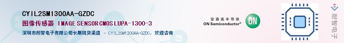 CYIL2SM1300AA-GZDC������-�������