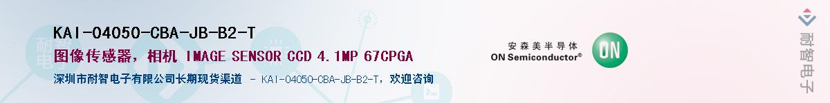 KAI-04050-CBA-JB-B2-T����(y��ng)��-�������