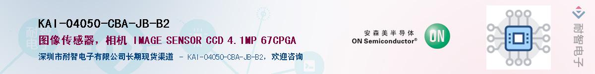 KAI-04050-CBA-JB-B2������-�������