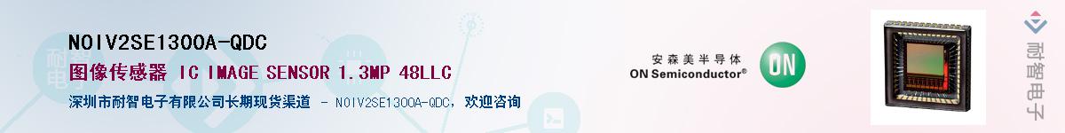 NOIV2SE1300A-QDC������-�������