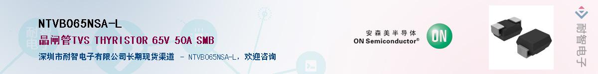 NTVB065NSA-L������-�������