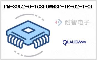 PM-8952-0-163FOWNSP-TR-02-1-01