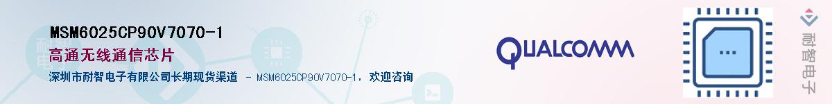 MSM6025CP90V7070-1������-�������