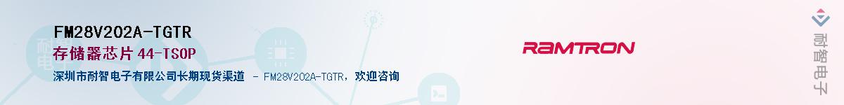 FM28V202A-TGTR������-�������