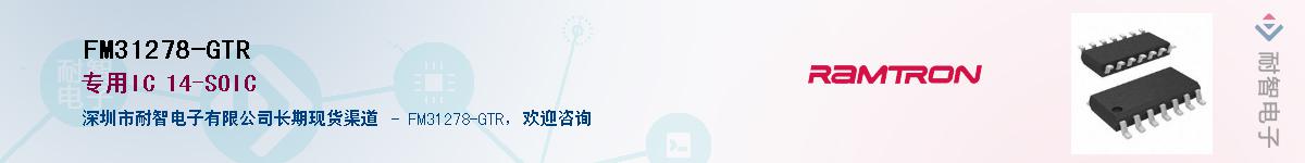 FM31278-GTR������-�������