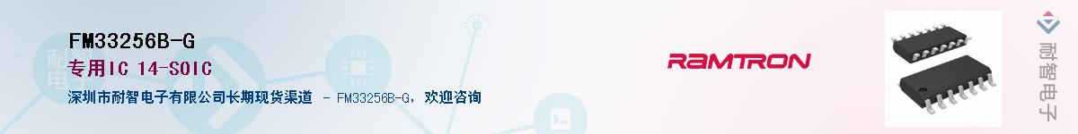 FM33256B-G������-�������
