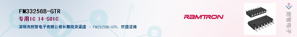 FM33256B-GTR������-�������