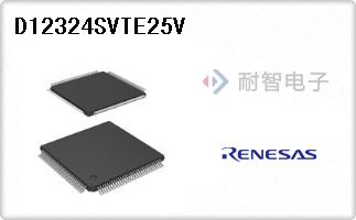 D12324SVTE25V