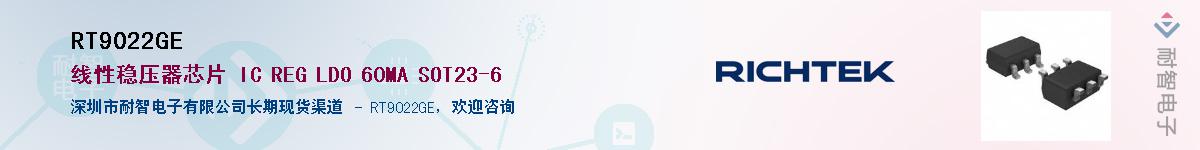 RT9022GE������-�������