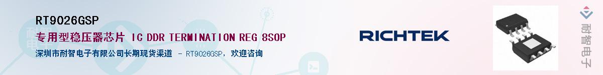 RT9026GSP������-�������